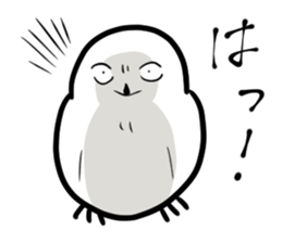 Mr. FU of snowy owl. sticker #9533204