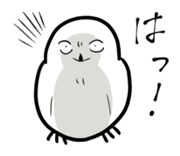 Mr. FU of snowy owl. sticker #9533204