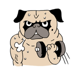 Pug's Gym sticker #9538305