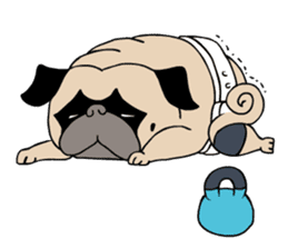 Pug's Gym sticker #9538306