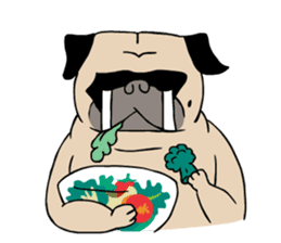 Pug's Gym sticker #9538311