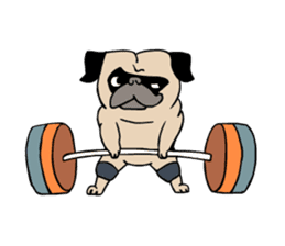 Pug's Gym sticker #9538313