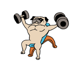 Pug's Gym sticker #9538320