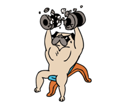 Pug's Gym sticker #9538321