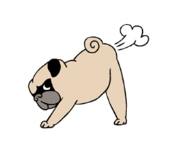 Pug's Gym sticker #9538323