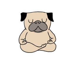 Pug's Gym sticker #9538324