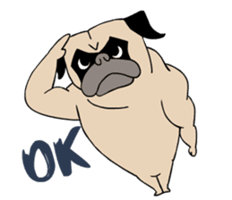 Pug's Gym sticker #9538327