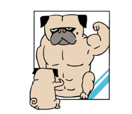 Pug's Gym sticker #9538328