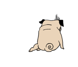 Pug's Gym sticker #9538331