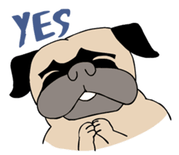 Pug's Gym sticker #9538333