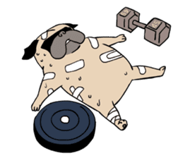 Pug's Gym sticker #9538336