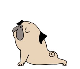 Pug's Gym sticker #9538337