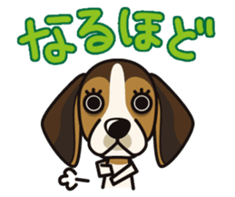 iinu - Beagle sticker #9539267
