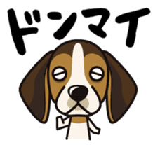 iinu - Beagle sticker #9539273