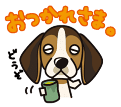 iinu - Beagle sticker #9539280