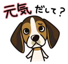 iinu - Beagle sticker #9539284