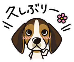 iinu - Beagle sticker #9539298