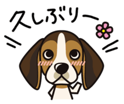 iinu - Beagle sticker #9539298