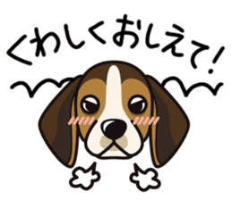 iinu - Beagle sticker #9539299