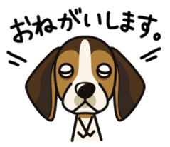 iinu - Beagle sticker #9539301
