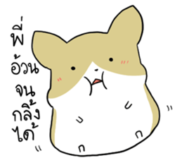 exercisebear: boingcorgi sticker #9539624