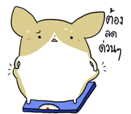 exercisebear: boingcorgi sticker #9539625