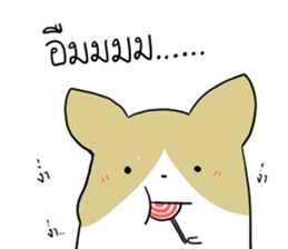 exercisebear: boingcorgi sticker #9539635