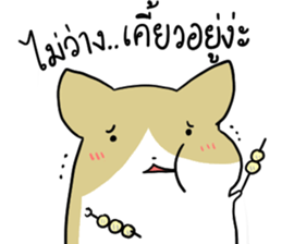 exercisebear: boingcorgi sticker #9539639