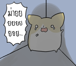 exercisebear: boingcorgi sticker #9539642