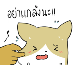 exercisebear: boingcorgi sticker #9539646