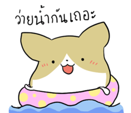 exercisebear: boingcorgi sticker #9539648