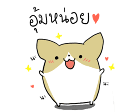 exercisebear: boingcorgi sticker #9539649