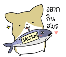 exercisebear: boingcorgi sticker #9539651