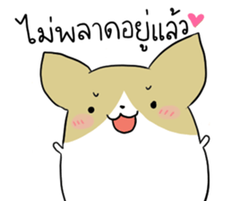 exercisebear: boingcorgi sticker #9539659