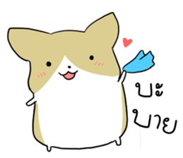exercisebear: boingcorgi sticker #9539662