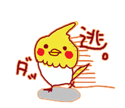 Okame,The Cockatiel2 sticker #9541323