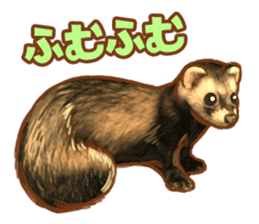 ferret family sticker #9541468