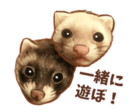 ferret family sticker #9541471