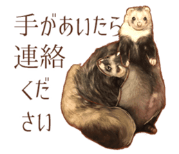 ferret family sticker #9541481