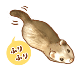 ferret family sticker #9541484