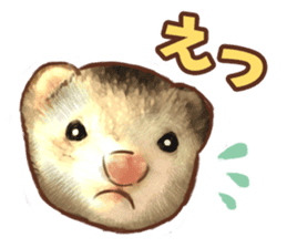 ferret family sticker #9541487