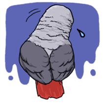 Fuku the Grey Parrot sticker #9542587