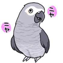 Fuku the Grey Parrot sticker #9542593