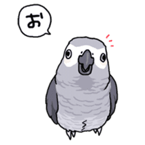 Fuku the Grey Parrot sticker #9542596