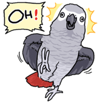Fuku the Grey Parrot sticker #9542598