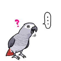Fuku the Grey Parrot sticker #9542602