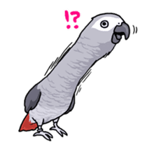 Fuku the Grey Parrot sticker #9542603
