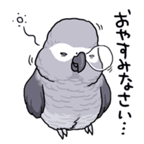 Fuku the Grey Parrot sticker #9542605