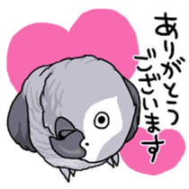Fuku the Grey Parrot sticker #9542606