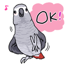 Fuku the Grey Parrot sticker #9542613